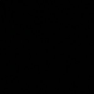 Meet your Posher, Natali